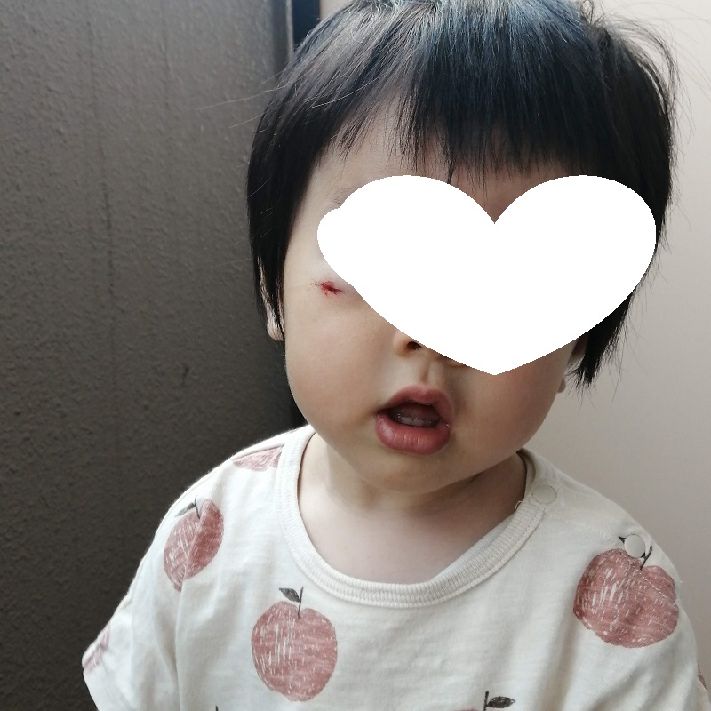 f:id:junpekun:20200604203006j:plain