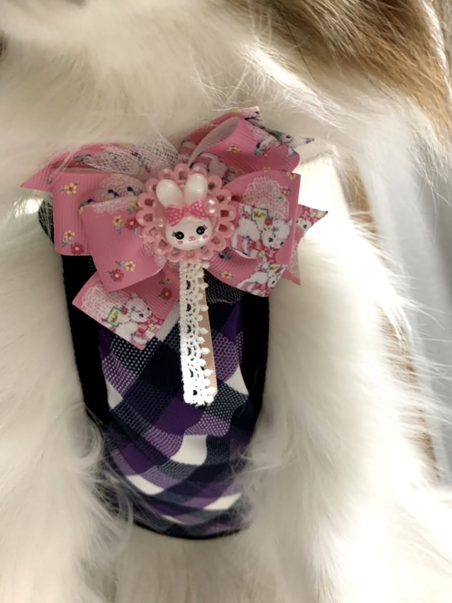 f:id:junpekun:20200905100140j:plain f:id:junpekun:20200905100140j:plain