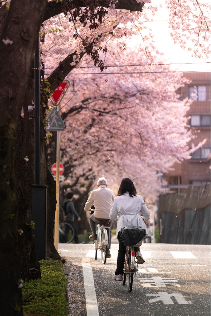 f:id:junta1587:20190412215509j:image