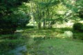 20100718082807
