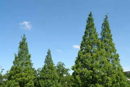 20120610193015