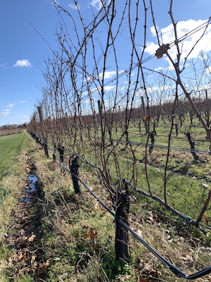 f:id:juny5953:20220107062158j:plain