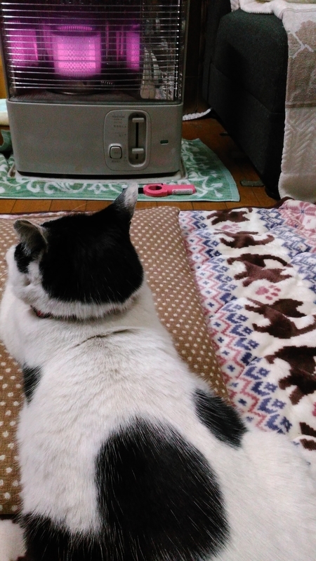 イメージ 3