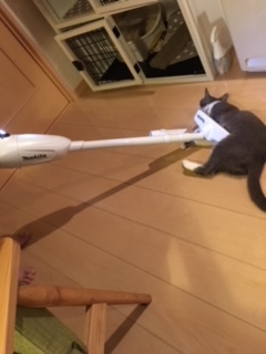 イメージ 4