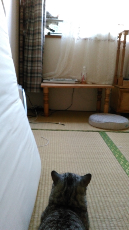 イメージ 2