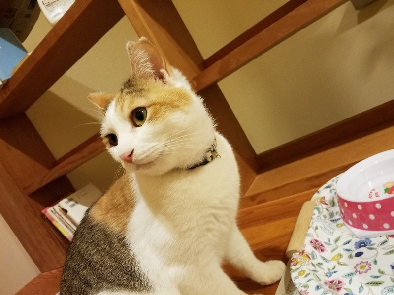 イメージ 3
