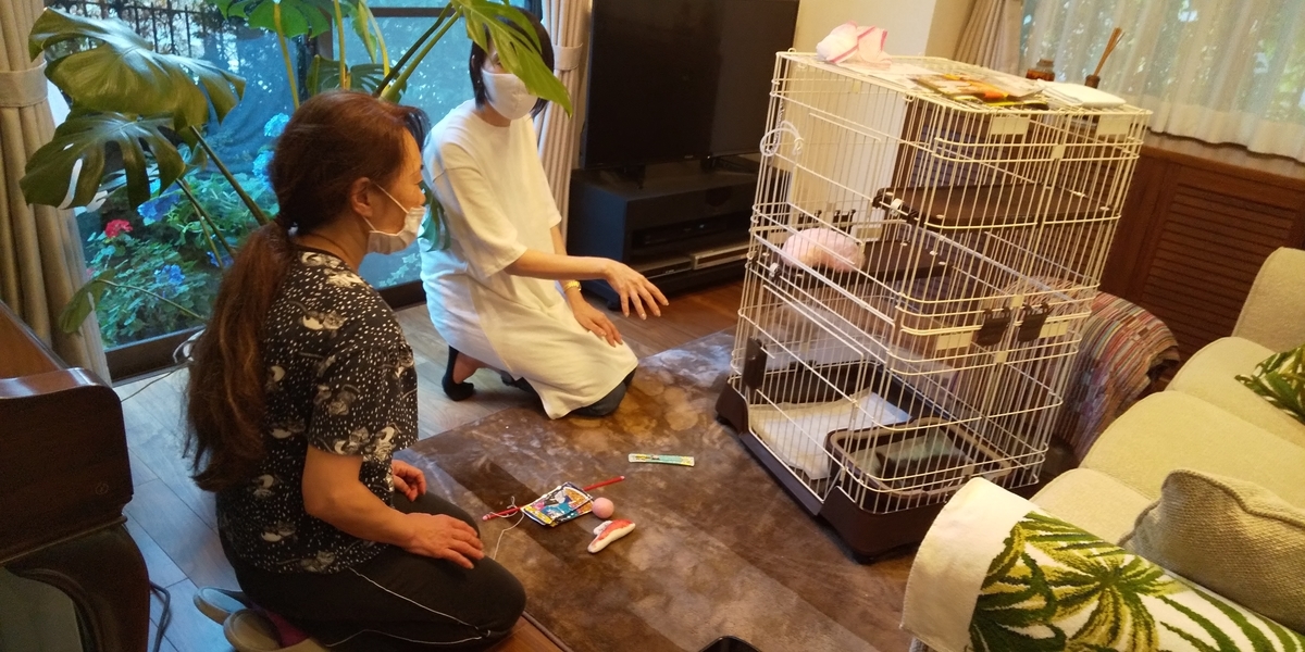 f:id:jupesjupes:20200630175927j:plain f:id:jupesjupes:20200630175927j:plain