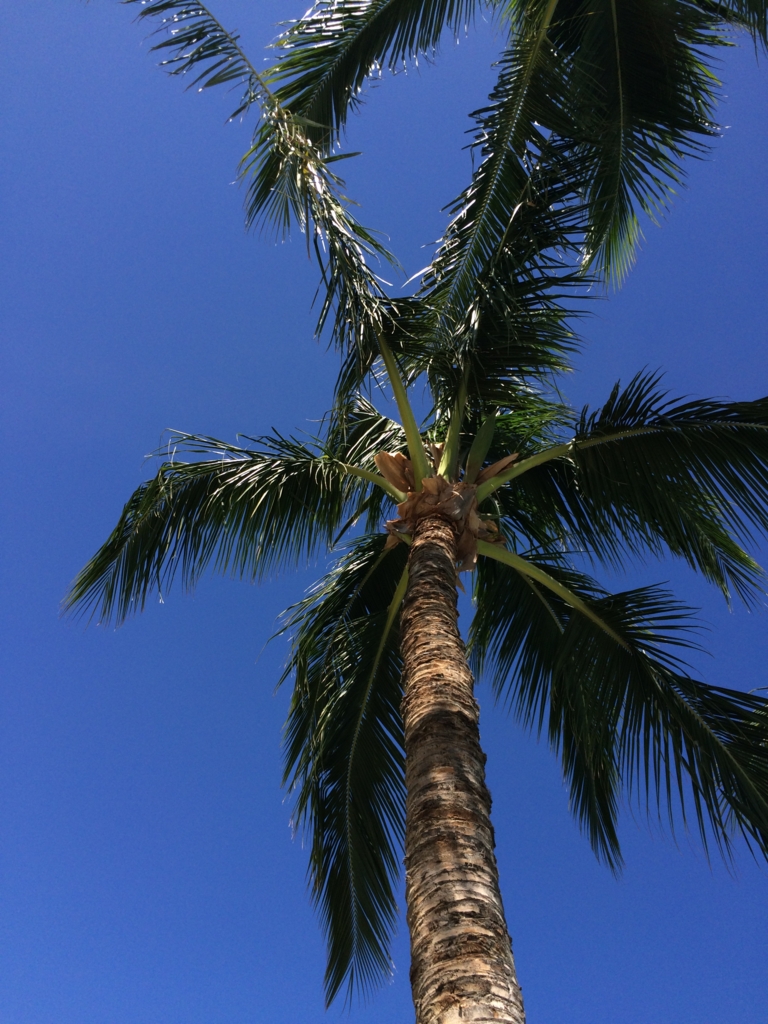 f:id:jupitrisonlabs:20160411095645j:plain f:id:jupitrisonlabs:20160411095645j:plain