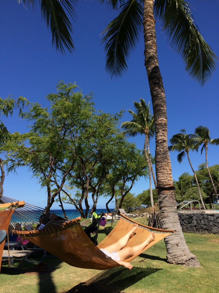 f:id:jupitrisonlabs:20160411095845j:plain f:id:jupitrisonlabs:20160411095845j:plain