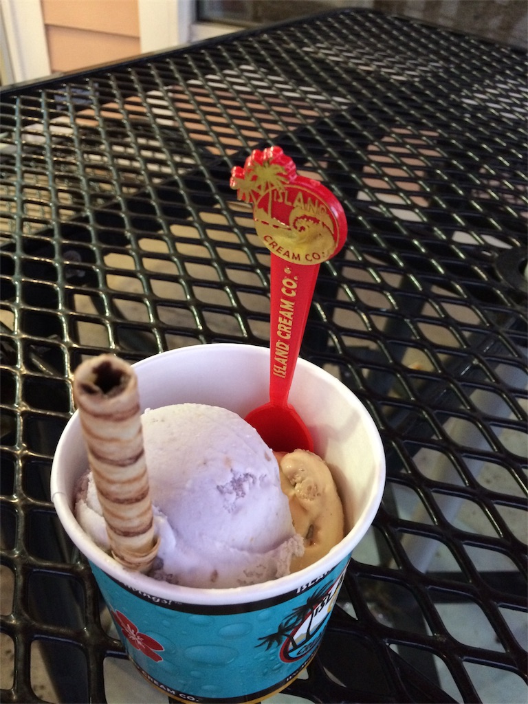 f:id:jupitrisonlabs:20170109214558j:image f:id:jupitrisonlabs:20170109214558j:image