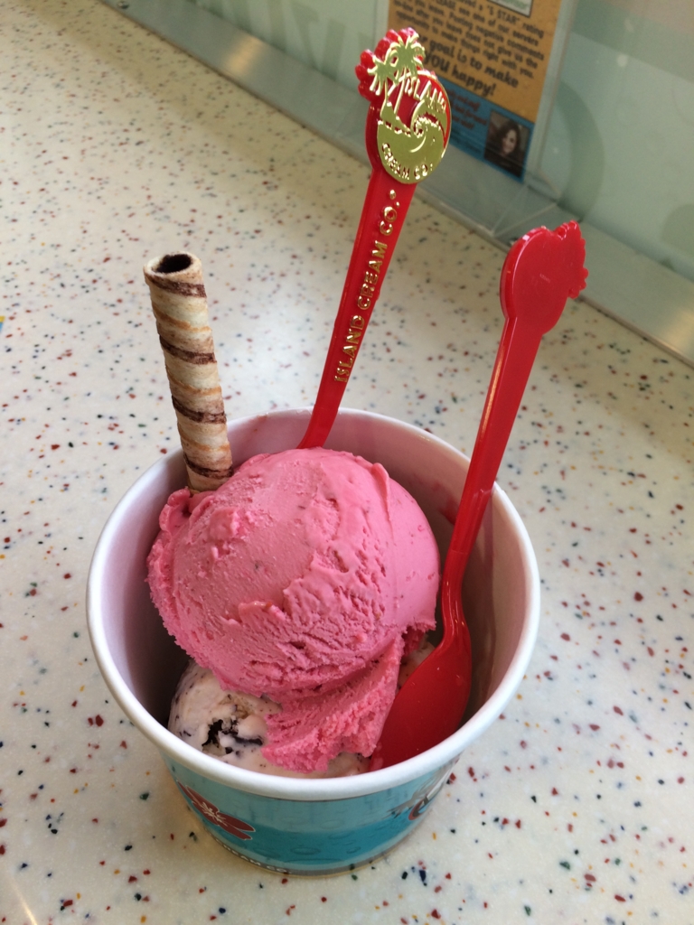 f:id:jupitrisonlabs:20170110164640j:plain