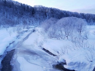 f:id:jura0920:20200215074153j:plain