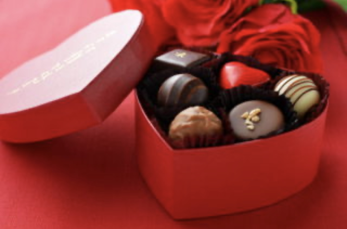 f:id:jura0920:20200216194956j:plain