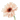 f:id:juri-0701x:20170524185605p:plain