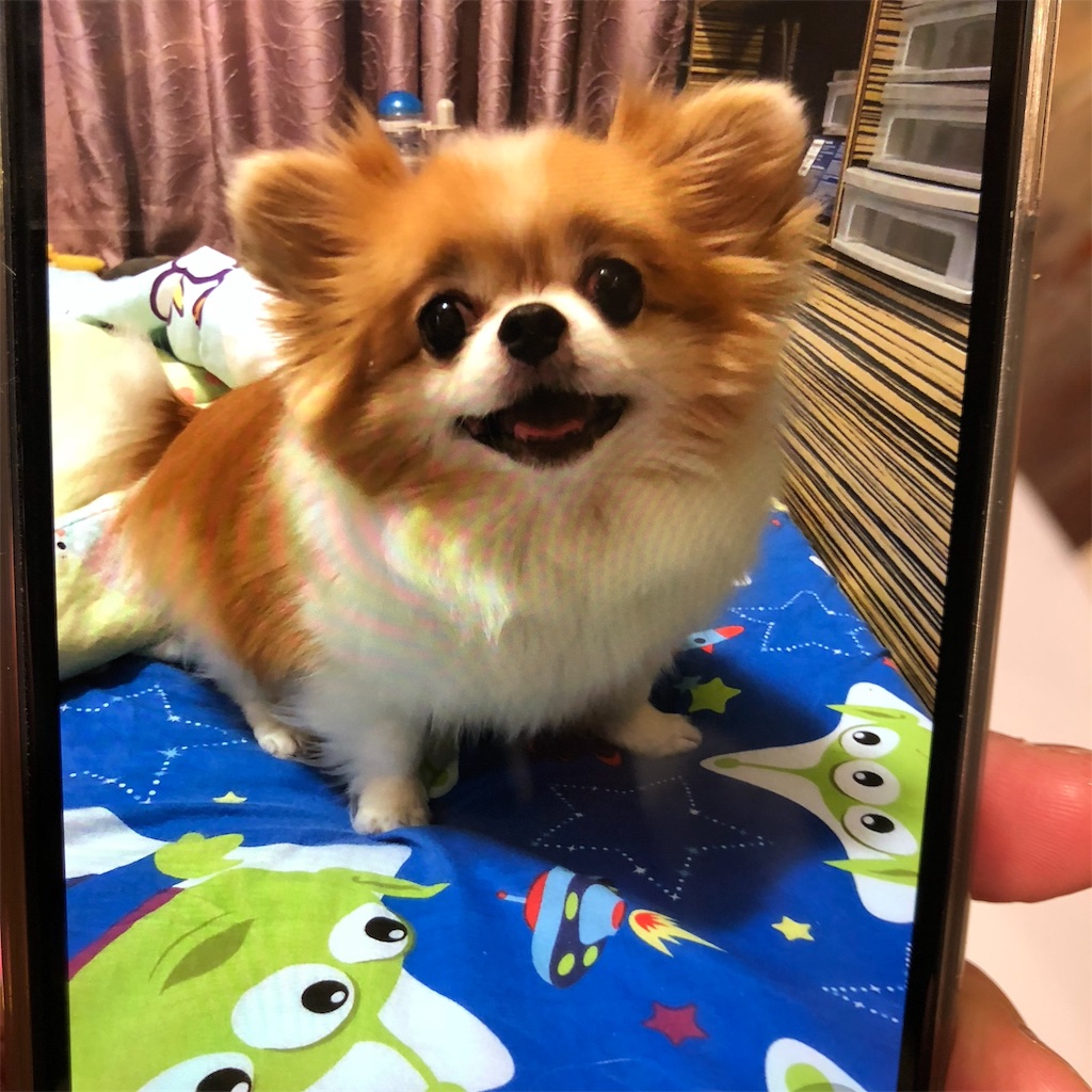 f:id:juriart:20190819181421j:image