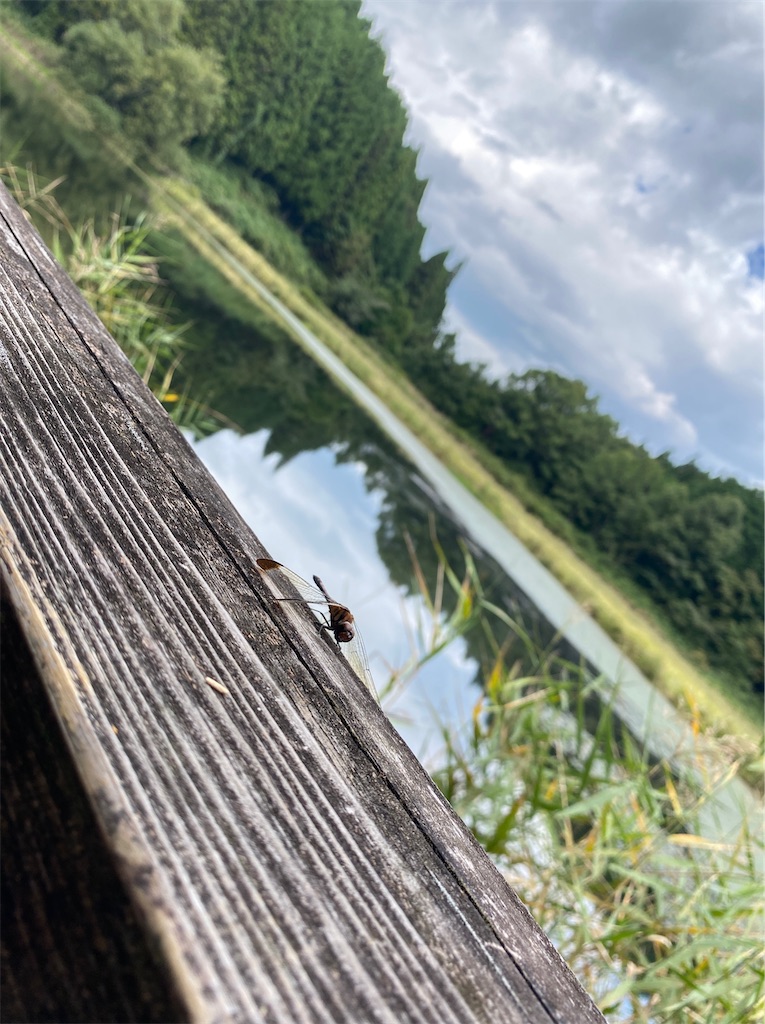 f:id:jurik_group:20221003231355j:image