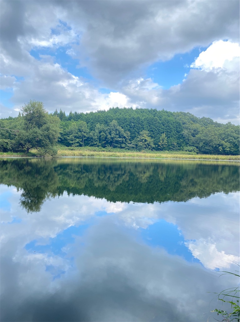 f:id:jurik_group:20221003231358j:image