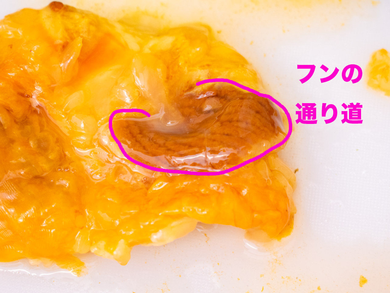 f:id:jurilin:20190801153242j:plain