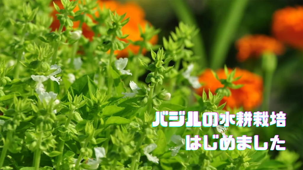 f:id:jurimom:20250318173505p:image