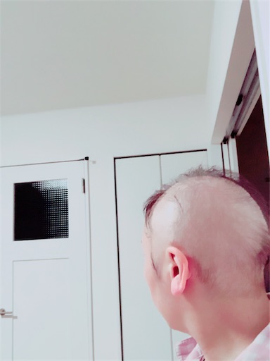 f:id:juringochang:20190218001640j:image f:id:juringochang:20190218001640j:image
