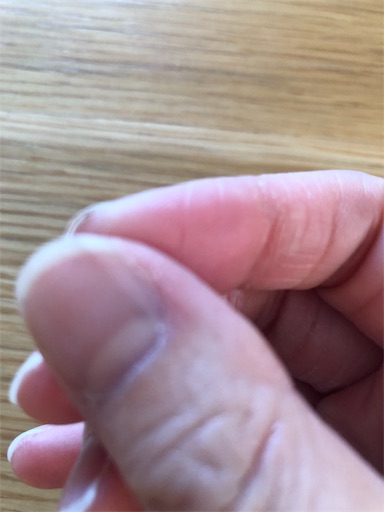 f:id:juringochang:20190227200640j:image f:id:juringochang:20190227200640j:image