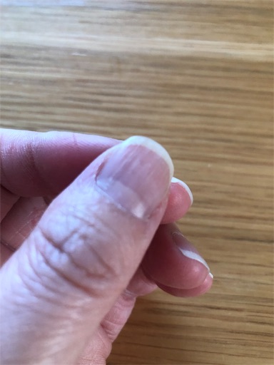 f:id:juringochang:20190227200653j:image f:id:juringochang:20190227200653j:image