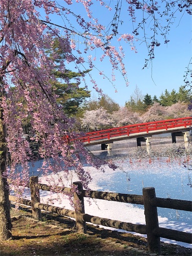 f:id:juringochang:20190429165436j:image