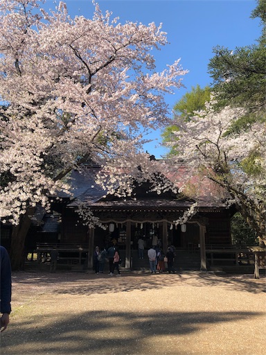 f:id:juringochang:20190429165749j:image
