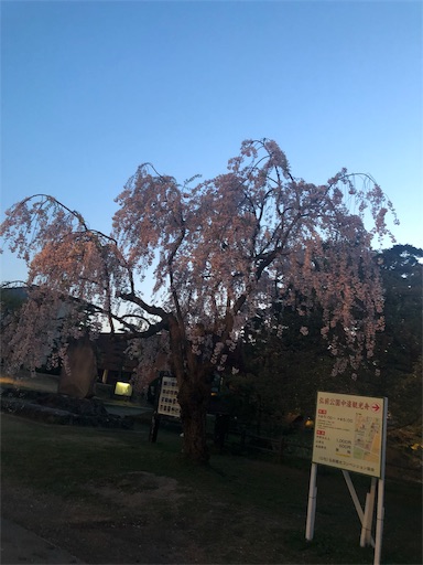 f:id:juringochang:20190505065436j:image f:id:juringochang:20190505065436j:image