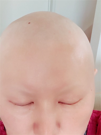 f:id:juringochang:20190621184459j:image