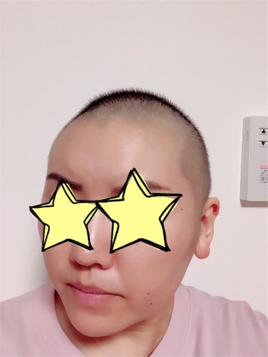 f:id:juringochang:20190723194513j:image