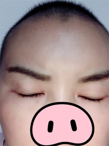 f:id:juringochang:20190723194550j:image
