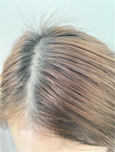 f:id:juringochang:20210209111953j:image