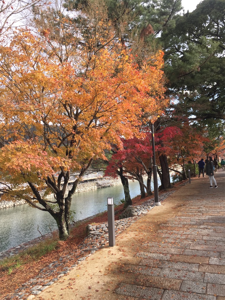 f:id:jurrypon:20181217134625j:image