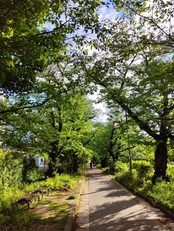 f:id:jurupapa:20210506120723j:plain