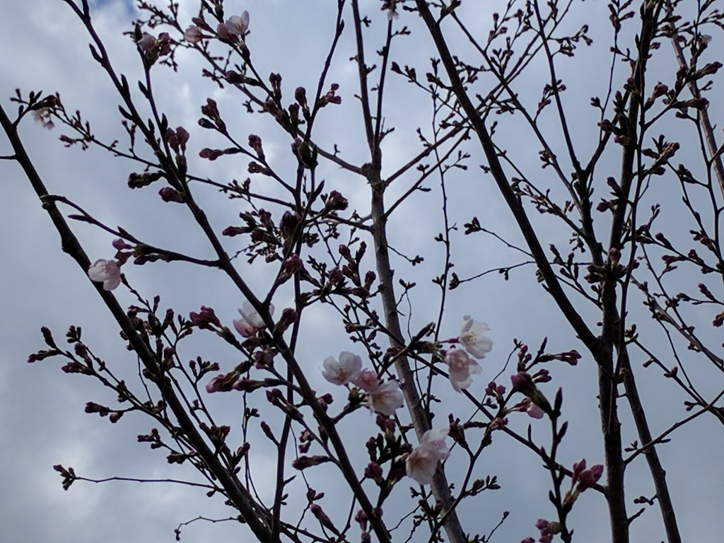 f:id:jusanbutsu:20170403123809j:plain f:id:jusanbutsu:20170403123809j:plain