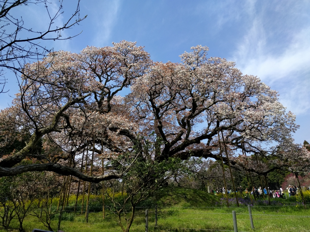 f:id:jusanbutsu:20170418105906j:plain f:id:jusanbutsu:20170418105906j:plain