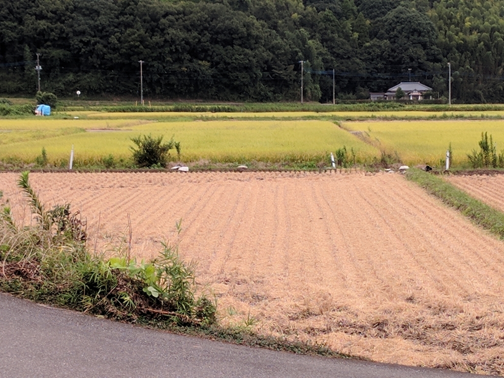 f:id:jusanbutsu:20170902095939j:plain