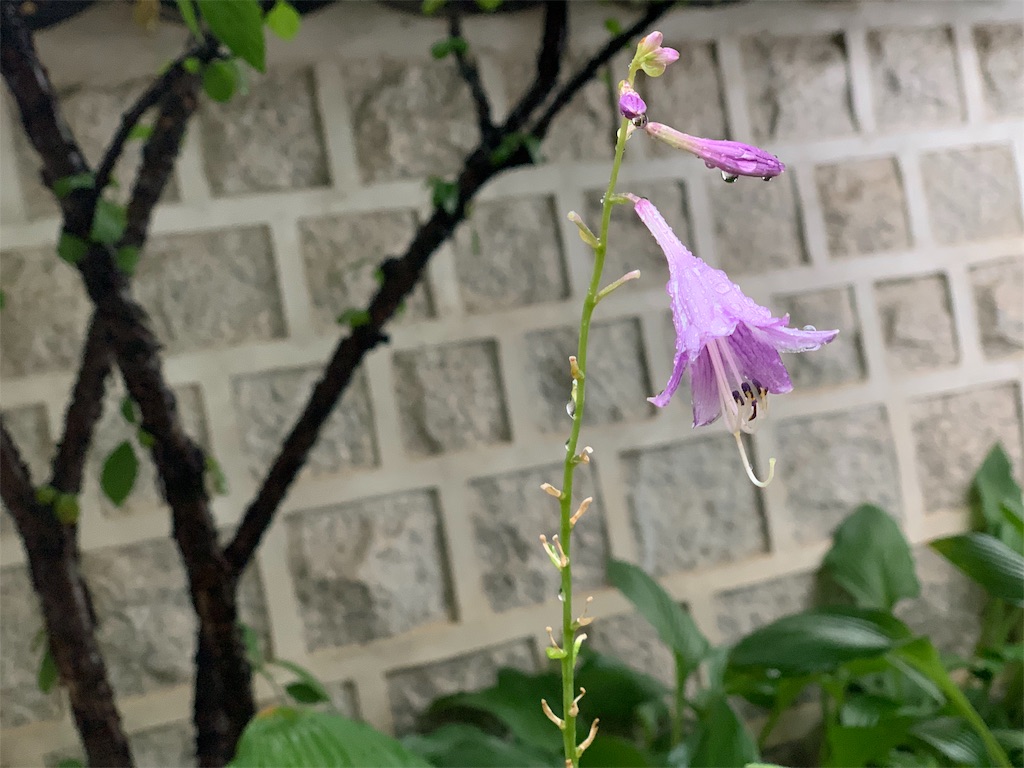f:id:juss2436:20190907223657j:image