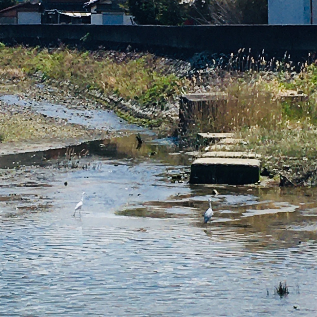 f:id:just_try:20200411233802j:image