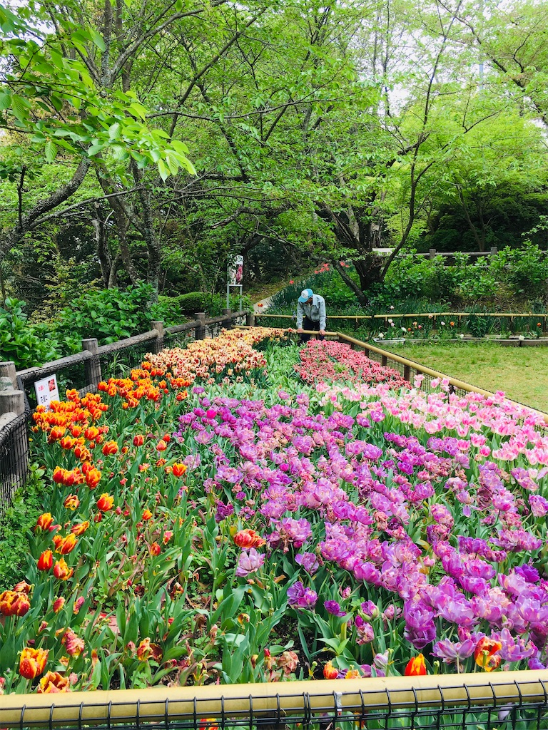 f:id:just_try:20200421203527j:image