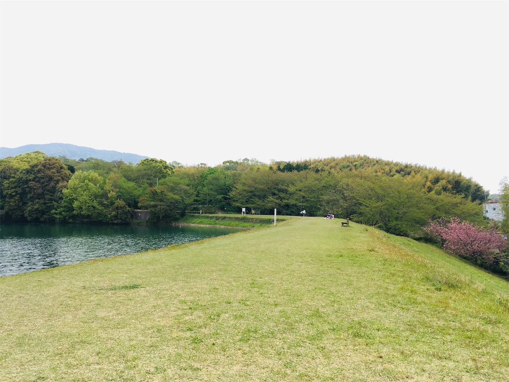 f:id:just_try:20200421203558j:image