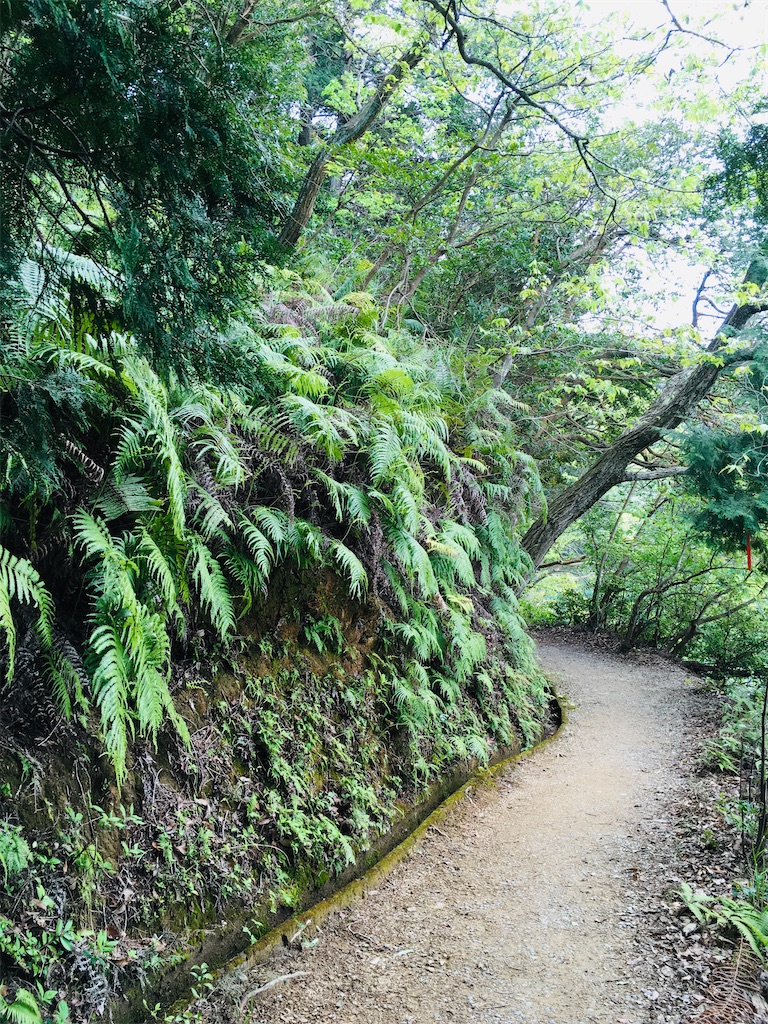 f:id:just_try:20200421215353j:image