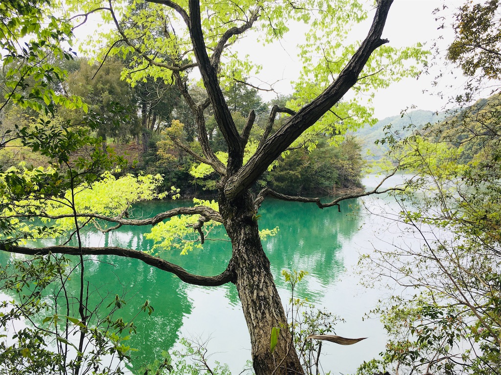 f:id:just_try:20200421215555j:image