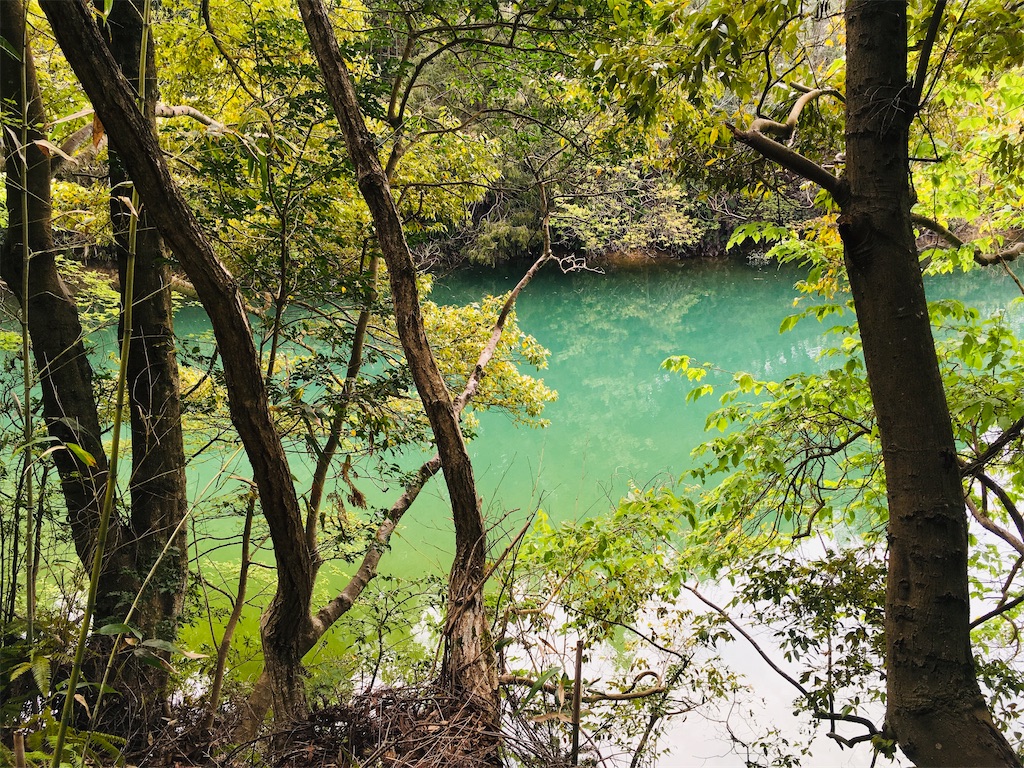 f:id:just_try:20200421215627j:image