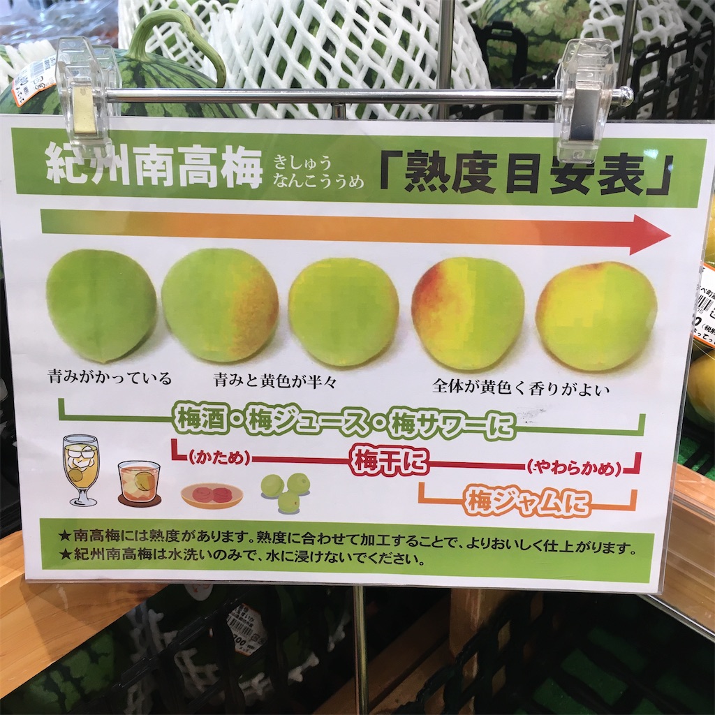 f:id:just_try:20200614134647j:image
