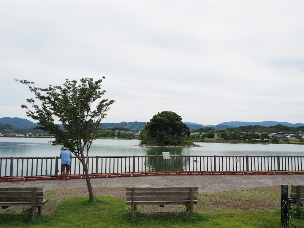 No.5【初夏の平池緑地公園】 野鳥観察に人気「平池緑地公園」！ | 紀泉伝次郎の常日頃