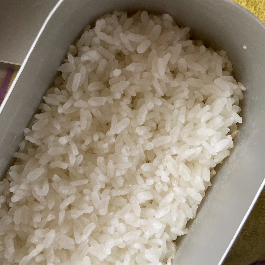 f:id:just_try:20200926105343j:image