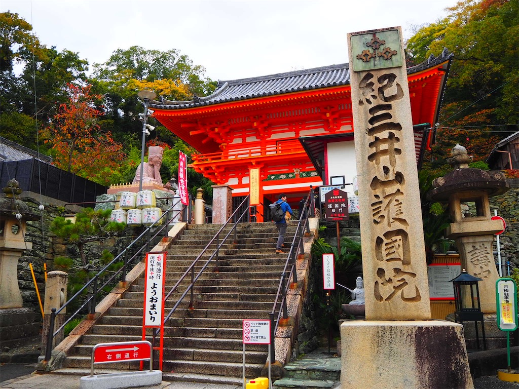 f:id:just_try:20201122213624j:image