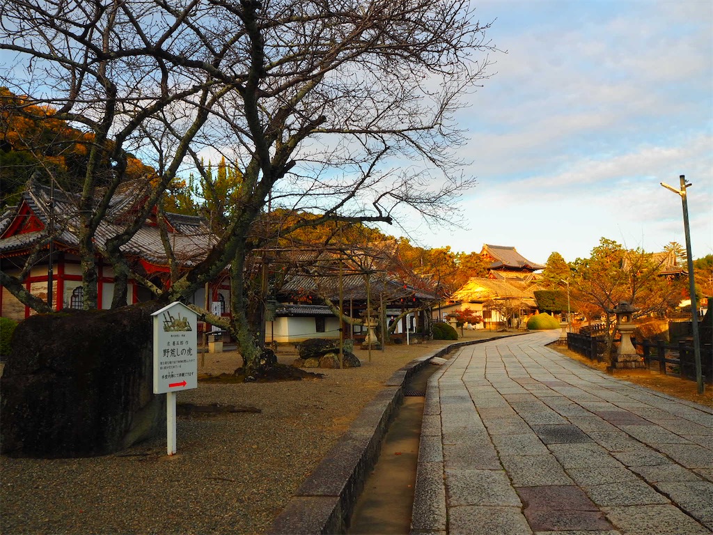 f:id:just_try:20201222121048j:image